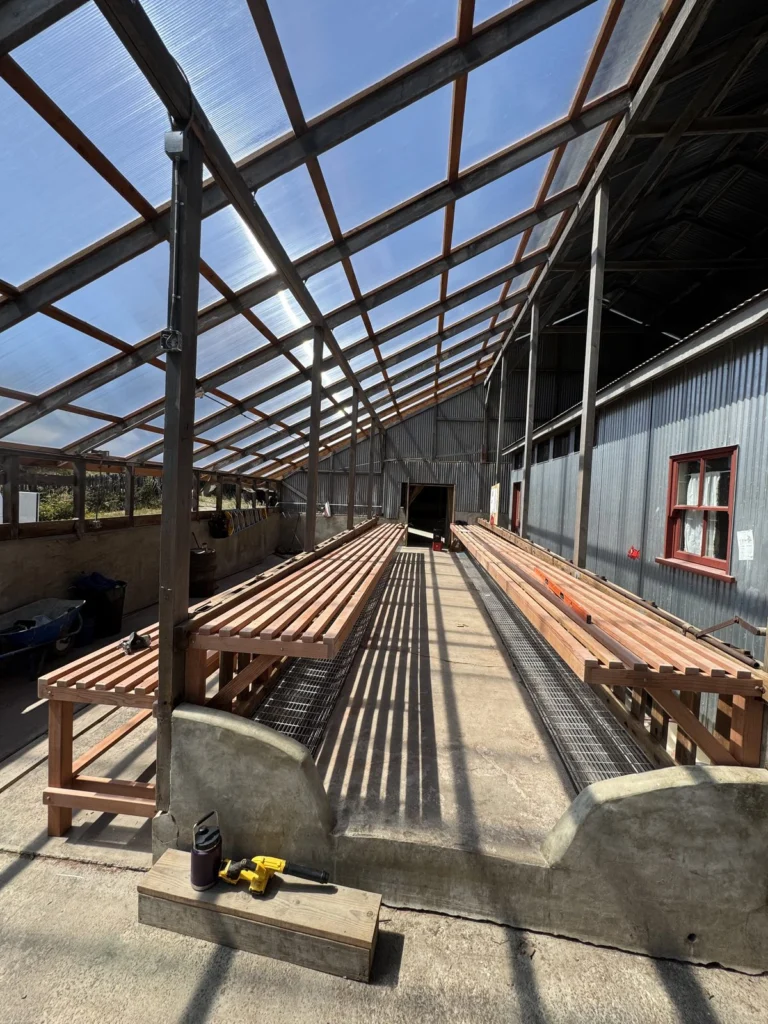 Whole-house remodel: Redwood slatted benches down the greenhouse aisle, Bolinas