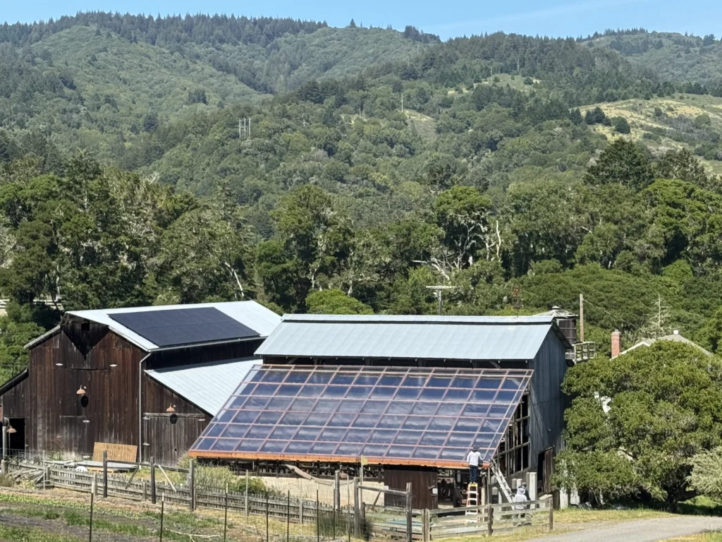 Whole-house remodel: Dairy barn converted to a greenhouse, with a new glazed roof below the hills, Bolinas