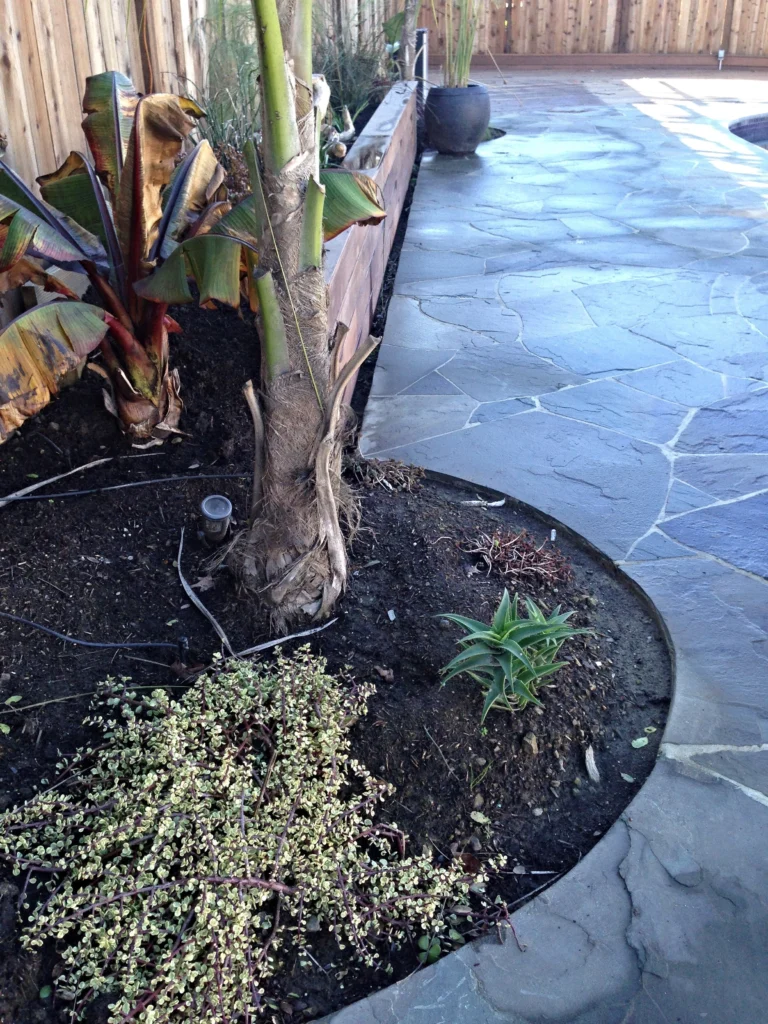 Hardscape: Curved flagstone path edging a new planting bed, wood planter box and pot behind