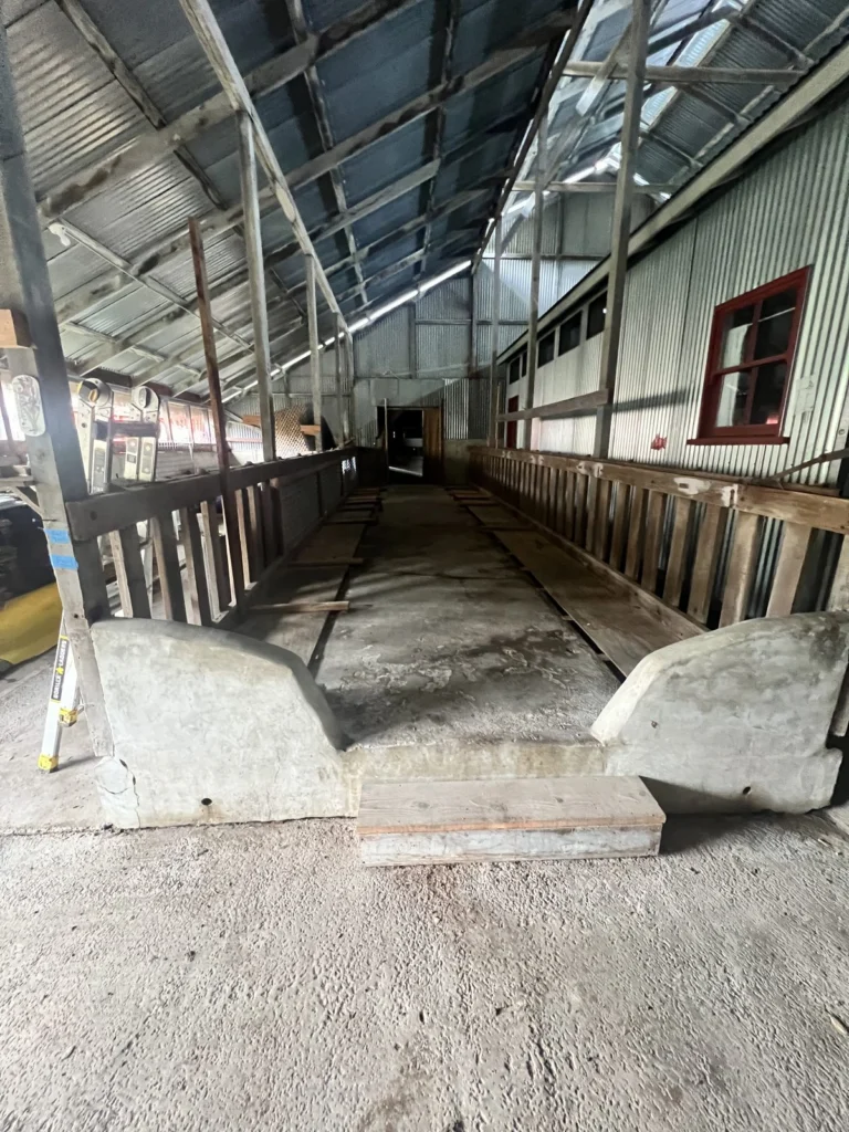 Whole-house remodel: Old dairy barn aisle before the greenhouse conversion, Bolinas
