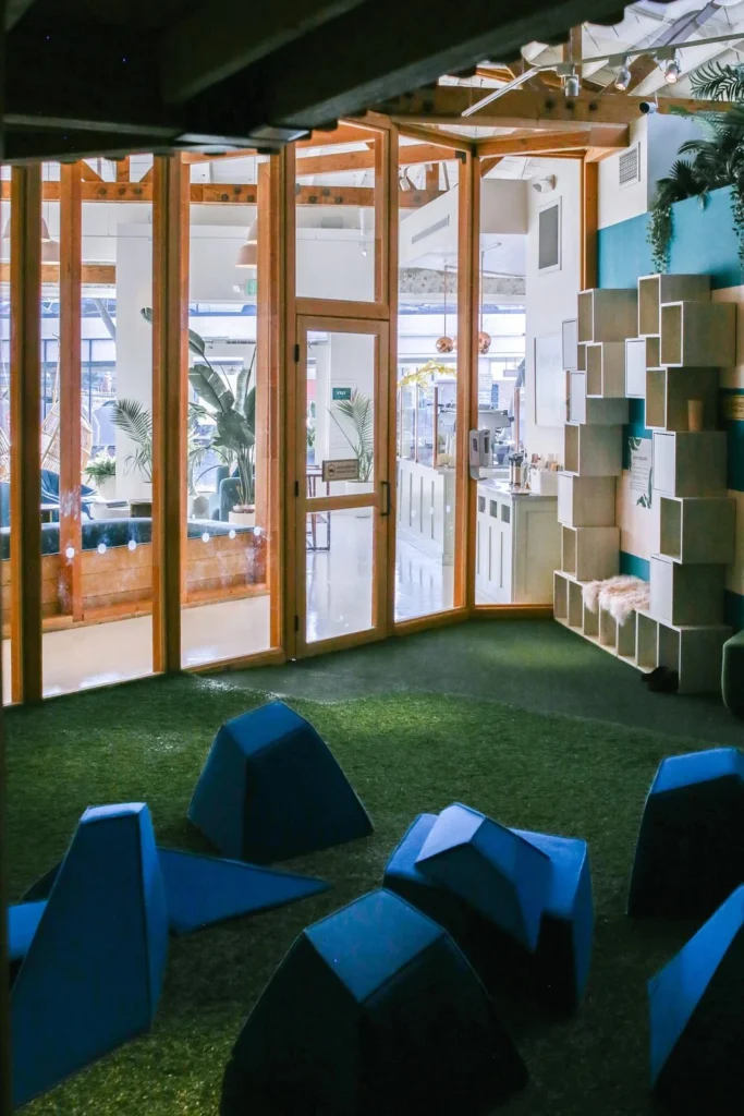 Children's play space with a glass entry wall, cubby shelves and soft blue play blocks on turf