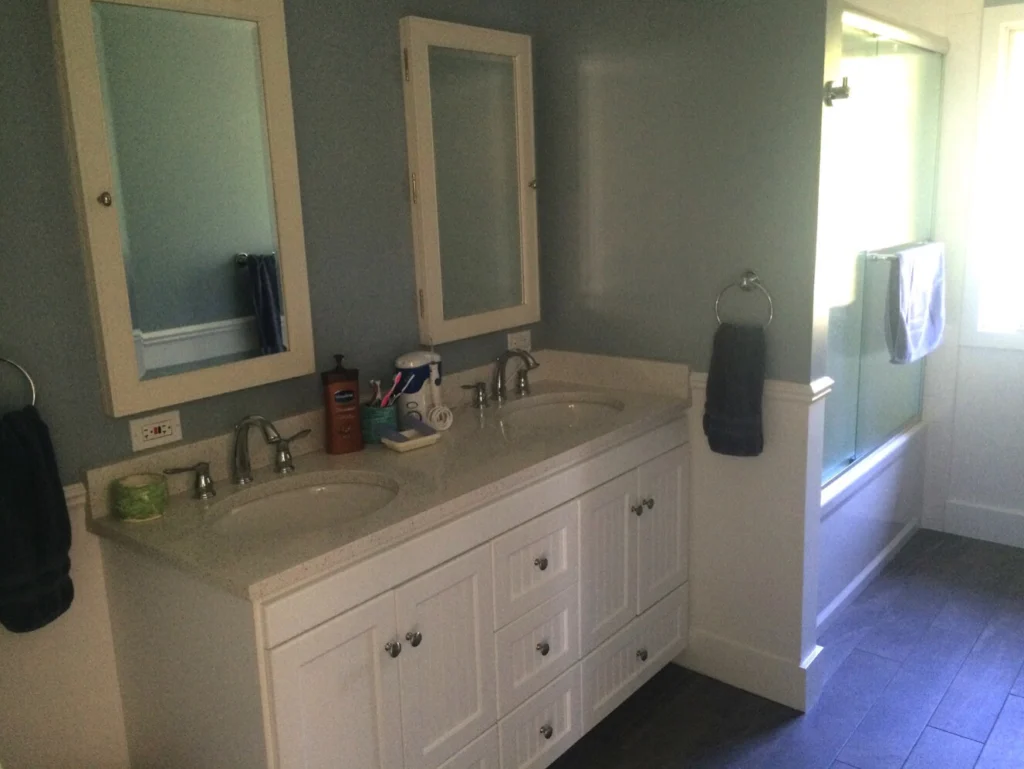 Bathroom remodel: White double vanity with two medicine cabinets, wainscoting, glass tub enclosure and dark plank tile floor